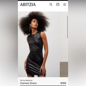 Aritzia leather dress